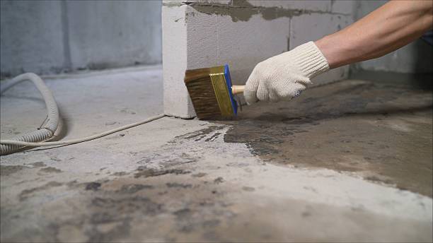 24/7 Emergency Crawl Space Encapsulation experts in Belford, NJ